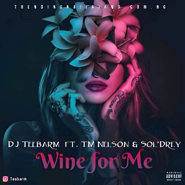 DJ Teebarm - Wine for Me Ft. T Nelson & Sol'Drey